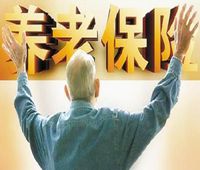 付费推广解决 “短期流量缺口”，SEO 解决 “长期成本问题
